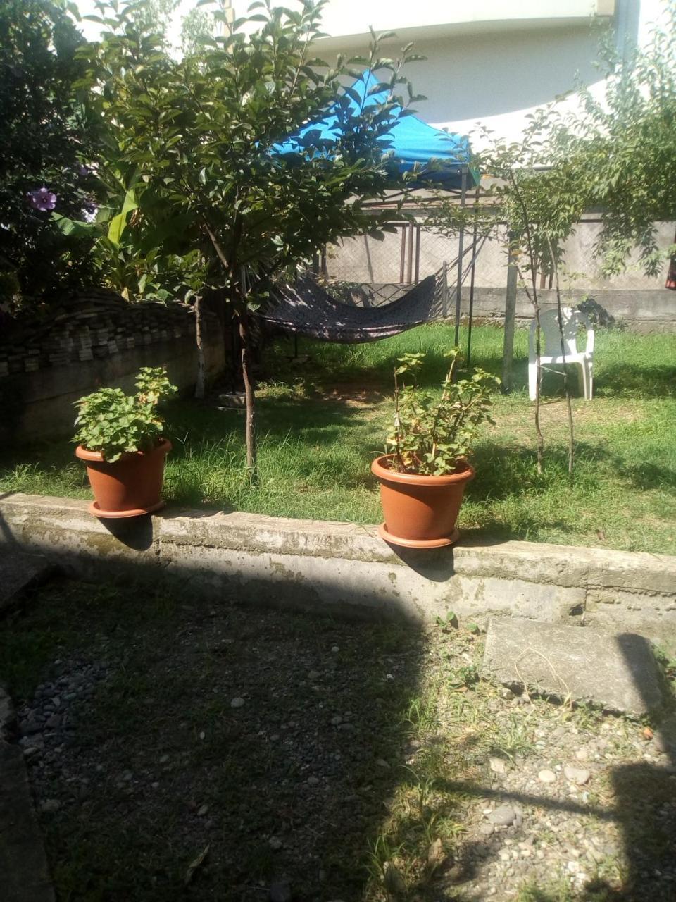 فندق Kobuleti Egro House المظهر الخارجي الصورة